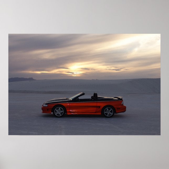 Póster Stang Convertible 1995 (Frente)