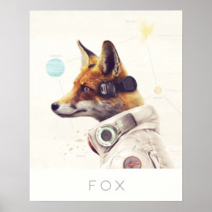 Póster Star Team Fox