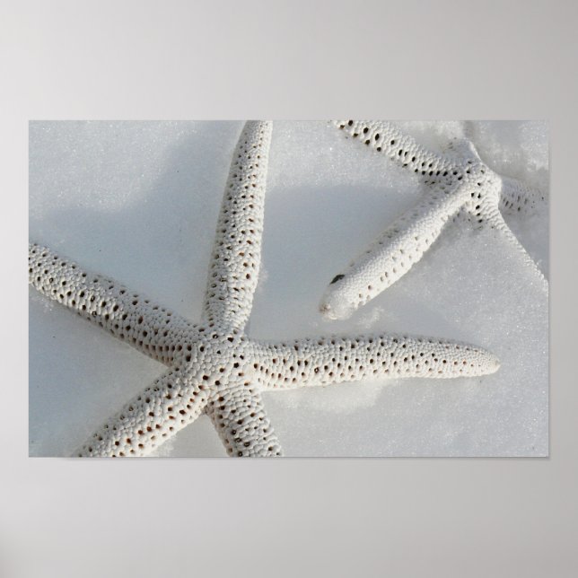 Póster Starfish (Frente)