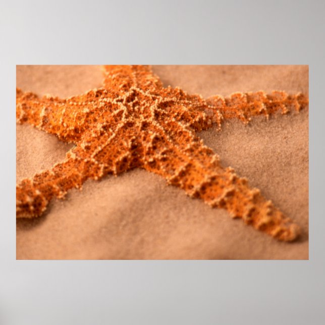 Póster Starfish (Frente)