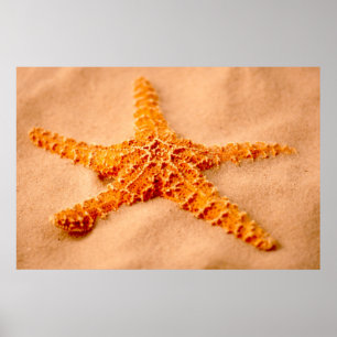 Póster Starfish
