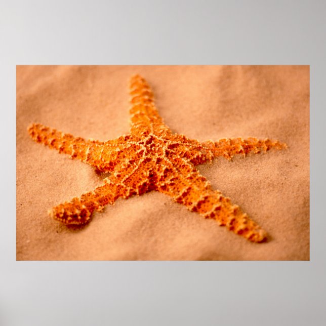 Póster Starfish (Frente)