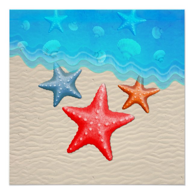 Póster Starfish And Seasheles (Anverso)