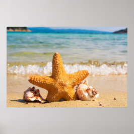 Póster Starfish and Seashells en la playa