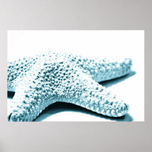 Póster Starfish azul