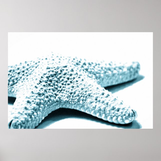 Póster Starfish azul (Frente)