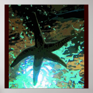 Póster Starfish CB