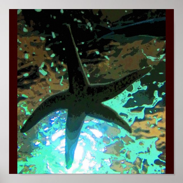 Póster Starfish CB (Frente)