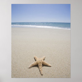 Póster Starfish en la playa a orillas del Océano Atlántic