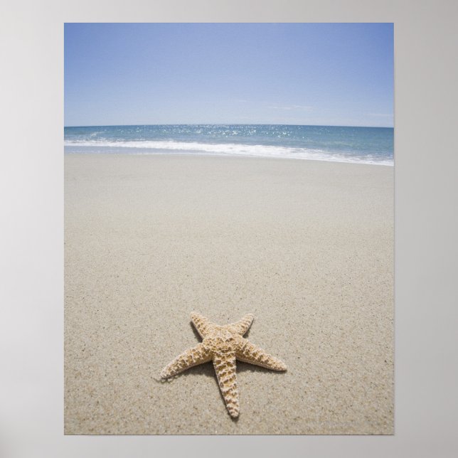 Póster Starfish en la playa a orillas del Océano Atlántic (Frente)