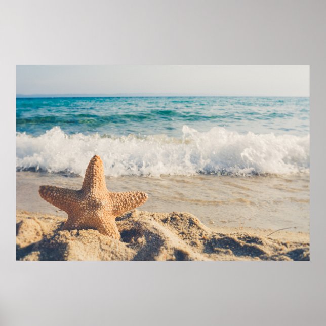 Póster Starfish en una foto de una playa de arena (Frente)