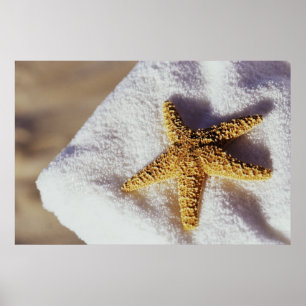 Póster Starfish En Una Toalla