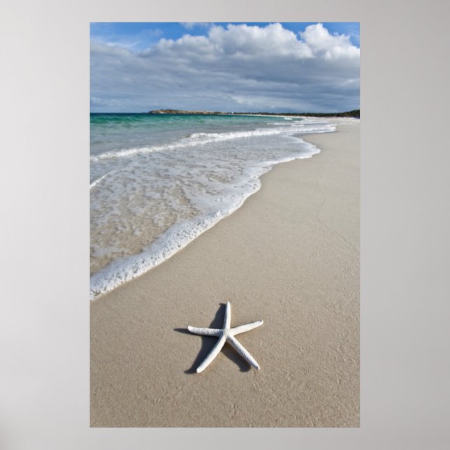 Póster Starfish On A Remote Beach (Frente)
