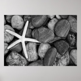 Póster Starfish on Rocks