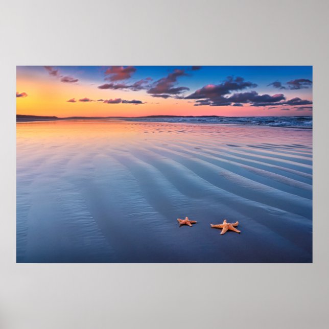 Póster Starfish On Sand (Frente)