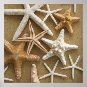 Póster Starfish On The Sand