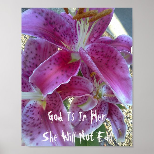 Póster Stargazer Lily God Está En Ella No Caerá (Frente)