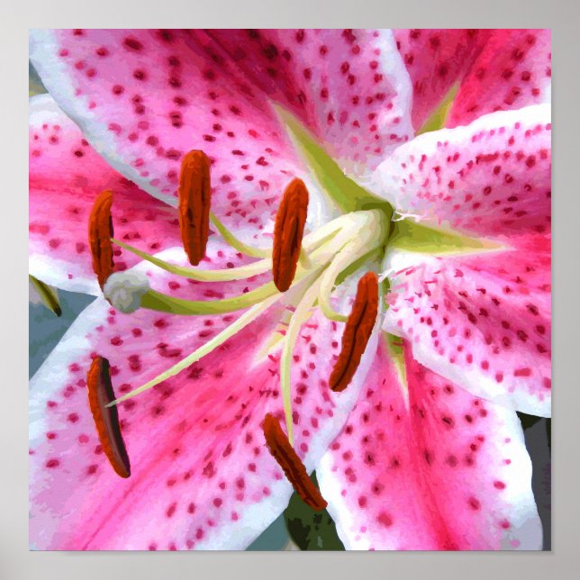 Póster Stargazer Lily Watercolor Fine Floral (Frente)