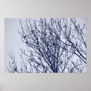 Póster Starlings in a Tree