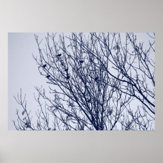 Póster Starlings in a Tree