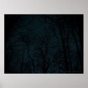 Póster Starry Night Trees poster