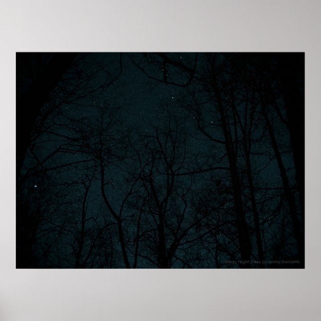 Póster Starry Night Trees poster (Frente)