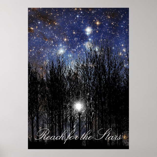 Póster Starscape & Trees: Alcance - Poster (Frente)