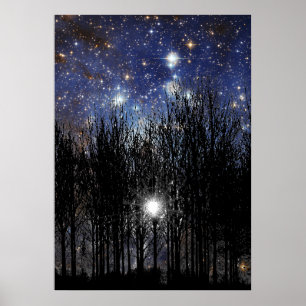 Póster Starscape & Trees - Poster