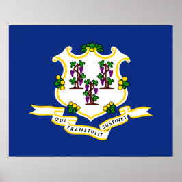 Póster State Flag of Connecticut