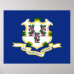 Póster State Flag of Connecticut