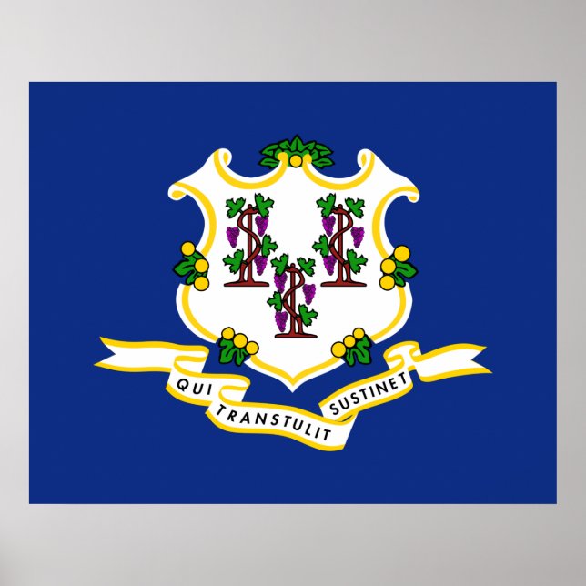Póster State Flag of Connecticut (Frente)