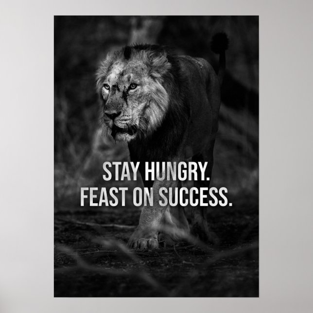 Póster Stay Hungry, Feast On Success , Lion - Motivation (Frente)