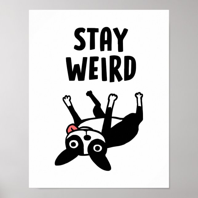 Póster Stay Weird Boston Terrier Funny Dog (Frente)
