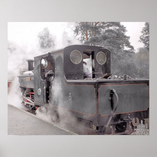 PÓSTER STEAM TRAIN