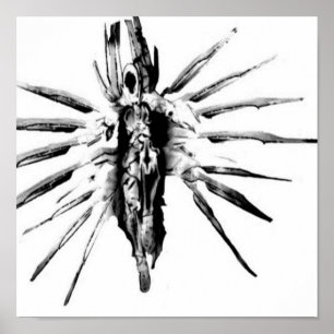 Póster Steampunk Valkyrie