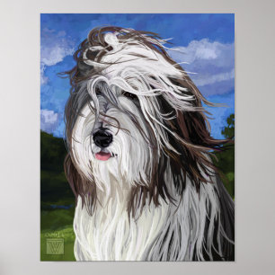 Póster Stella el perro pastor inglés