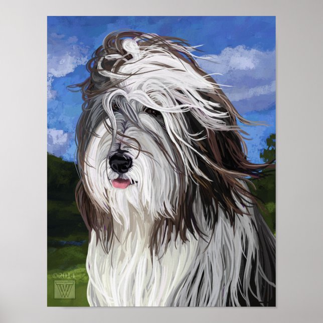 Póster Stella el perro pastor inglés (Frente)