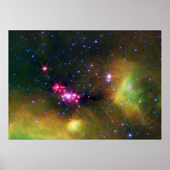 Póster Stellar Babies (Frente)