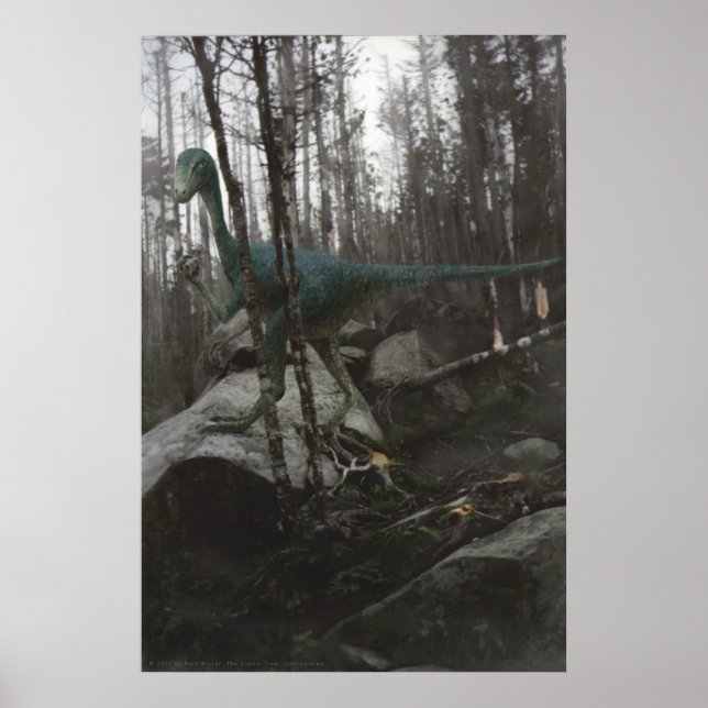 Póster Stenonicosauro (Frente)