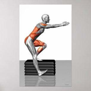 Póster Step-Down Exercises