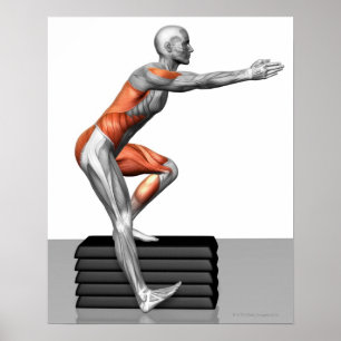 Póster Step-Down Exercises