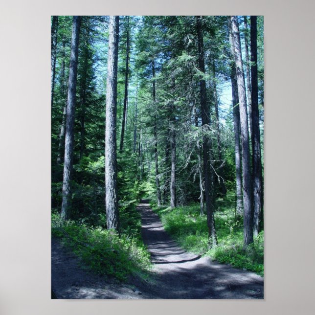 PÓSTER STEPHANEY DAY (Frente)