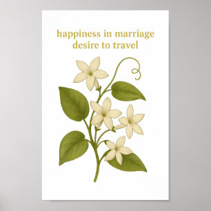 Póster Stephanotis — Felicidad en el matrimonio