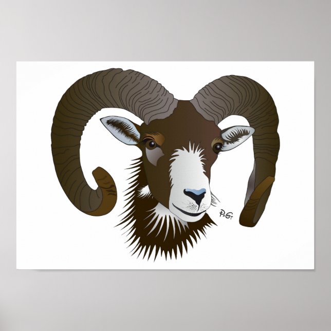 Póster Sternzeichen - Poster de widder (Frente)