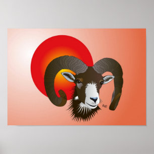 Póster Sternzeichen - Poster de widder