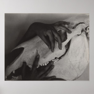 Póster Stieglitz Georgia O’Keeffe Hands Horse Skull Photo