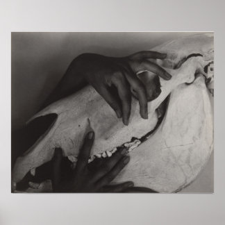 Póster Stieglitz Georgia O’Keeffe Hands Horse Skull Photo