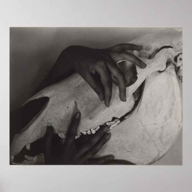 Póster Stieglitz Georgia O’Keeffe Hands Horse Skull Photo (Frente)