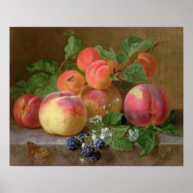 Póster Still Life of Peaches (Frente)