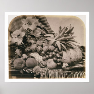 Póster Still Life with Fruit, 1860 (foto de sepia)